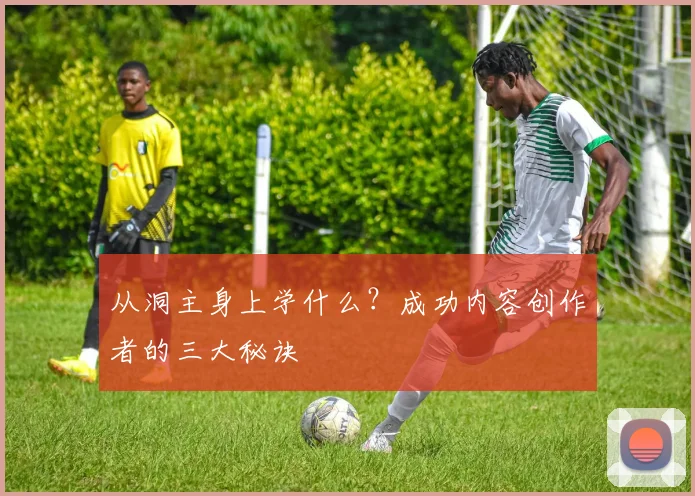从洞主身上学什么？成功内容创作者的三大秘诀