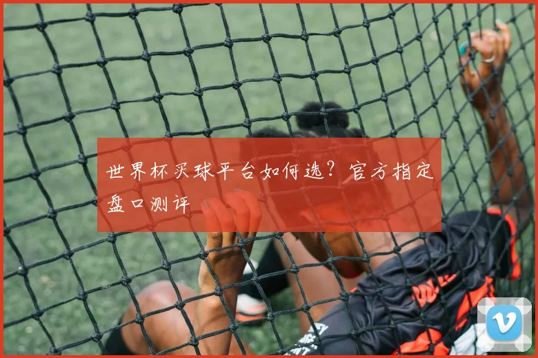 世界杯买球平台如何选？官方指定盘口测评