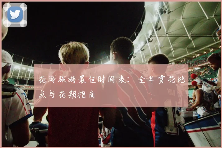 花海旅游最佳时间表：全年赏花地点与花期指南