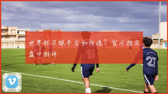 世界杯买球平台如何选？官方指定盘口测评