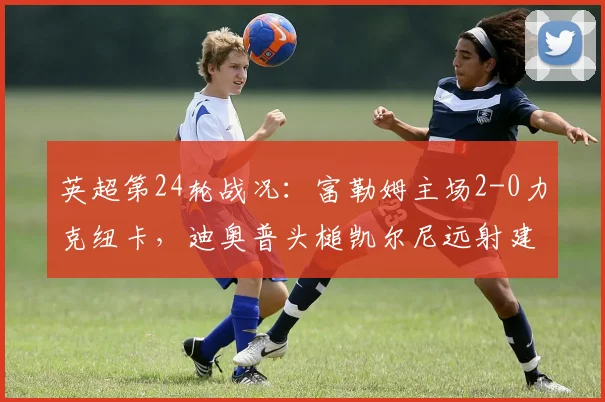 英超第24轮战况：富勒姆主场2-0力克纽卡，迪奥普头槌凯尔尼远射建功